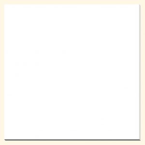 Gạch lát nền 1-WH8304 80x80