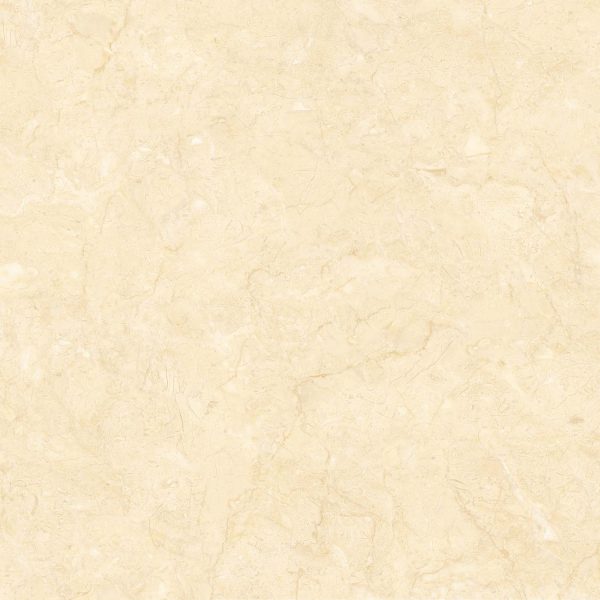 Gạch lát nền 1LTG80026