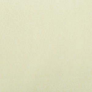 Gạch lát nền CM83