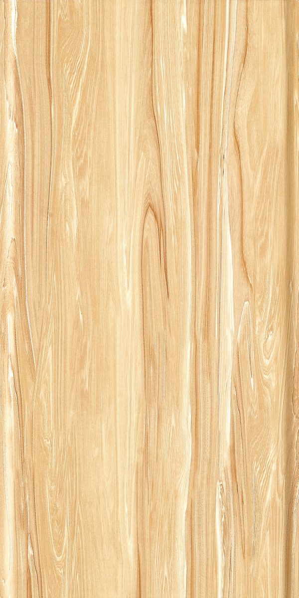 Gạch lát nền CM89-2 300x600